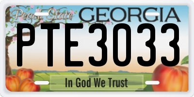GA license plate PTE3033