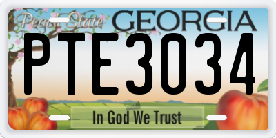 GA license plate PTE3034