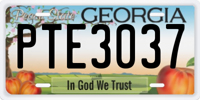 GA license plate PTE3037