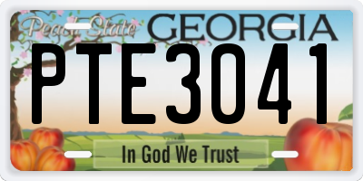 GA license plate PTE3041