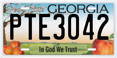GA license plate PTE3042