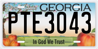 GA license plate PTE3043