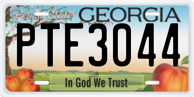 GA license plate PTE3044