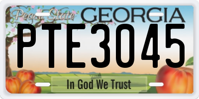 GA license plate PTE3045