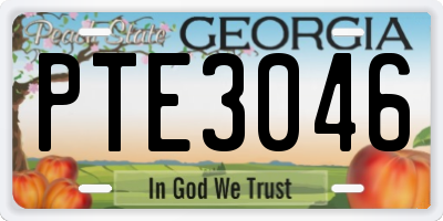 GA license plate PTE3046