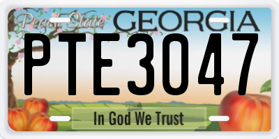 GA license plate PTE3047