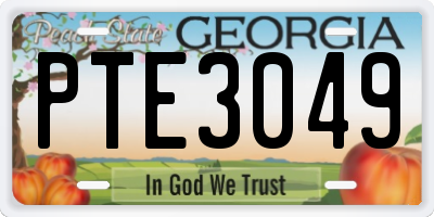 GA license plate PTE3049