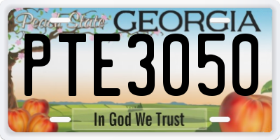 GA license plate PTE3050