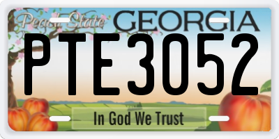 GA license plate PTE3052