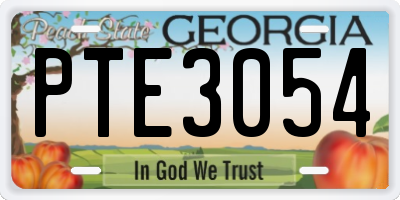 GA license plate PTE3054