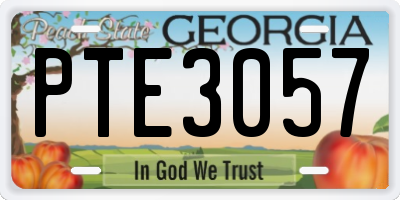 GA license plate PTE3057