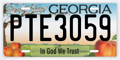 GA license plate PTE3059