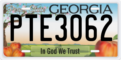 GA license plate PTE3062