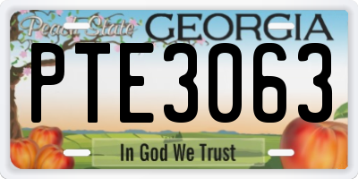 GA license plate PTE3063