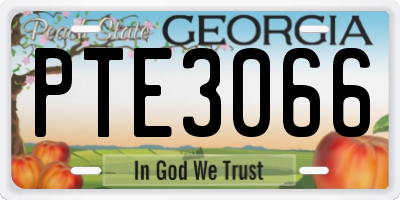 GA license plate PTE3066