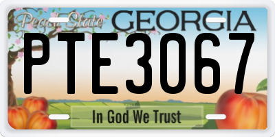 GA license plate PTE3067