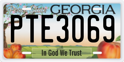 GA license plate PTE3069