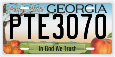 GA license plate PTE3070