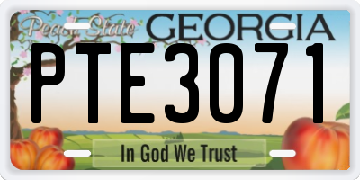 GA license plate PTE3071
