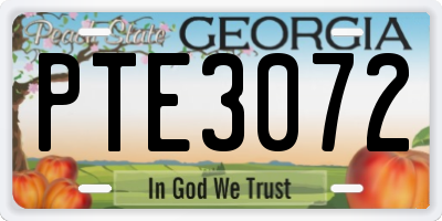GA license plate PTE3072