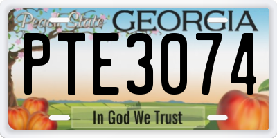 GA license plate PTE3074