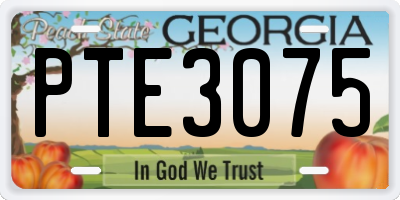 GA license plate PTE3075