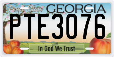 GA license plate PTE3076