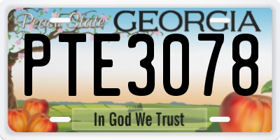 GA license plate PTE3078