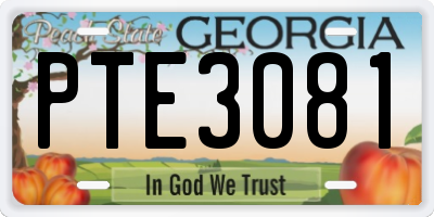 GA license plate PTE3081