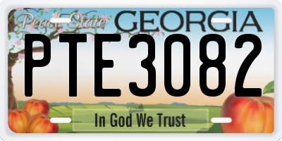 GA license plate PTE3082