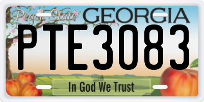 GA license plate PTE3083