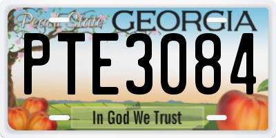 GA license plate PTE3084