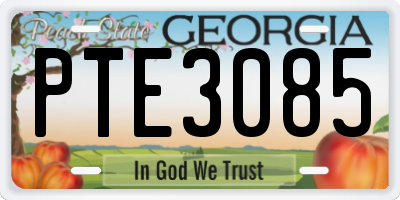 GA license plate PTE3085