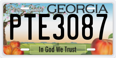 GA license plate PTE3087