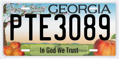 GA license plate PTE3089