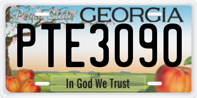 GA license plate PTE3090