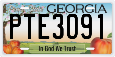 GA license plate PTE3091