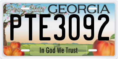 GA license plate PTE3092