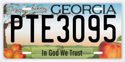 GA license plate PTE3095