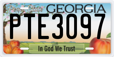 GA license plate PTE3097