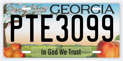 GA license plate PTE3099