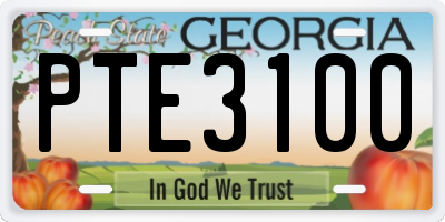 GA license plate PTE3100
