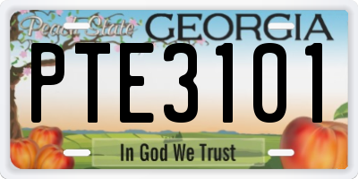 GA license plate PTE3101