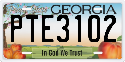 GA license plate PTE3102