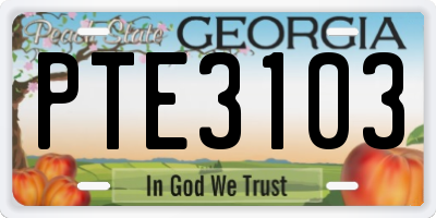 GA license plate PTE3103