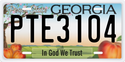GA license plate PTE3104