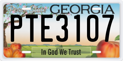 GA license plate PTE3107