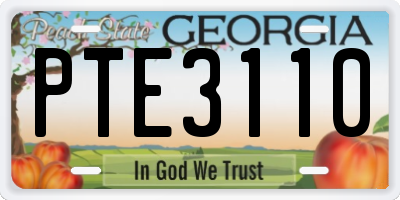 GA license plate PTE3110