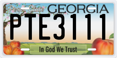 GA license plate PTE3111
