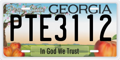 GA license plate PTE3112